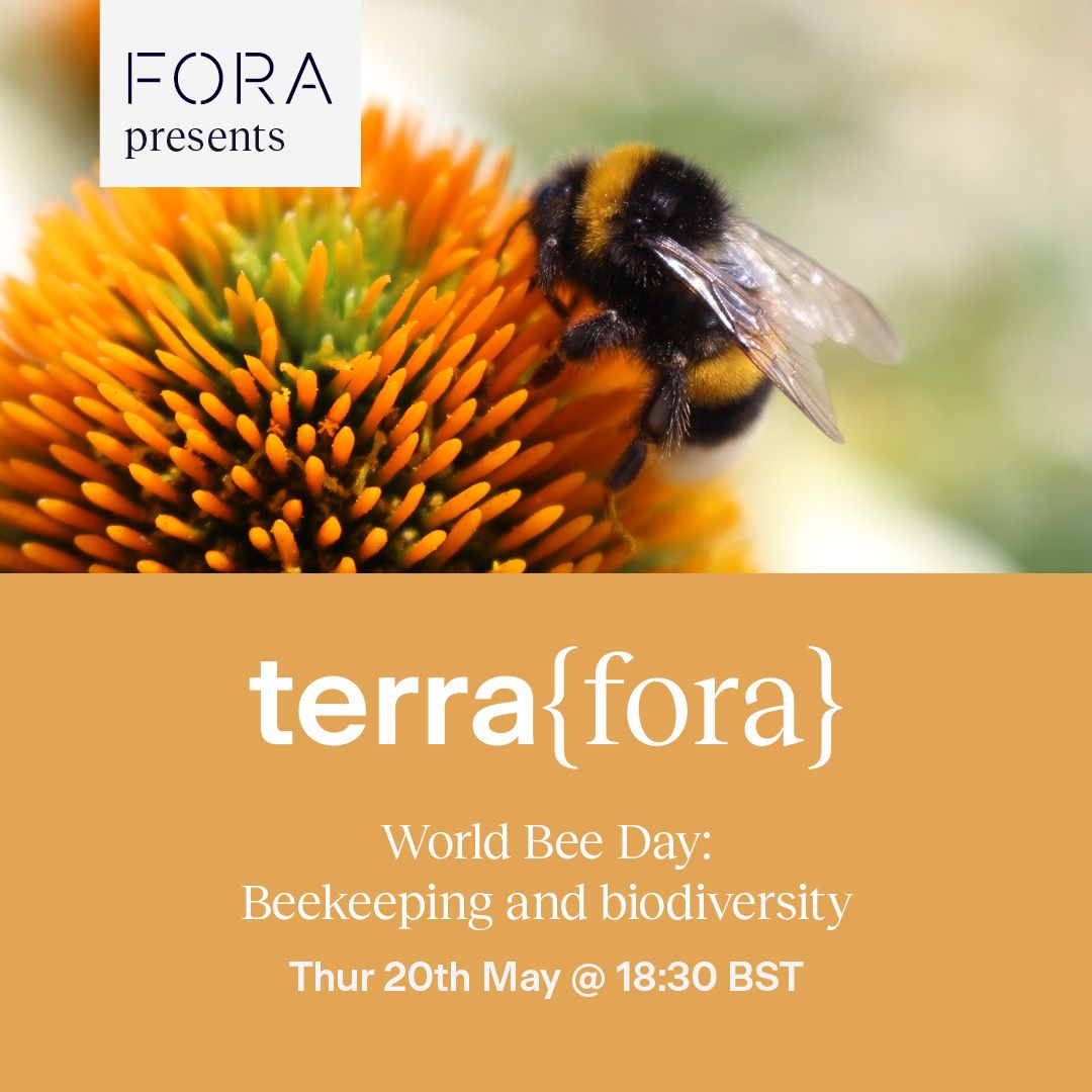 Fora Beekeeping event